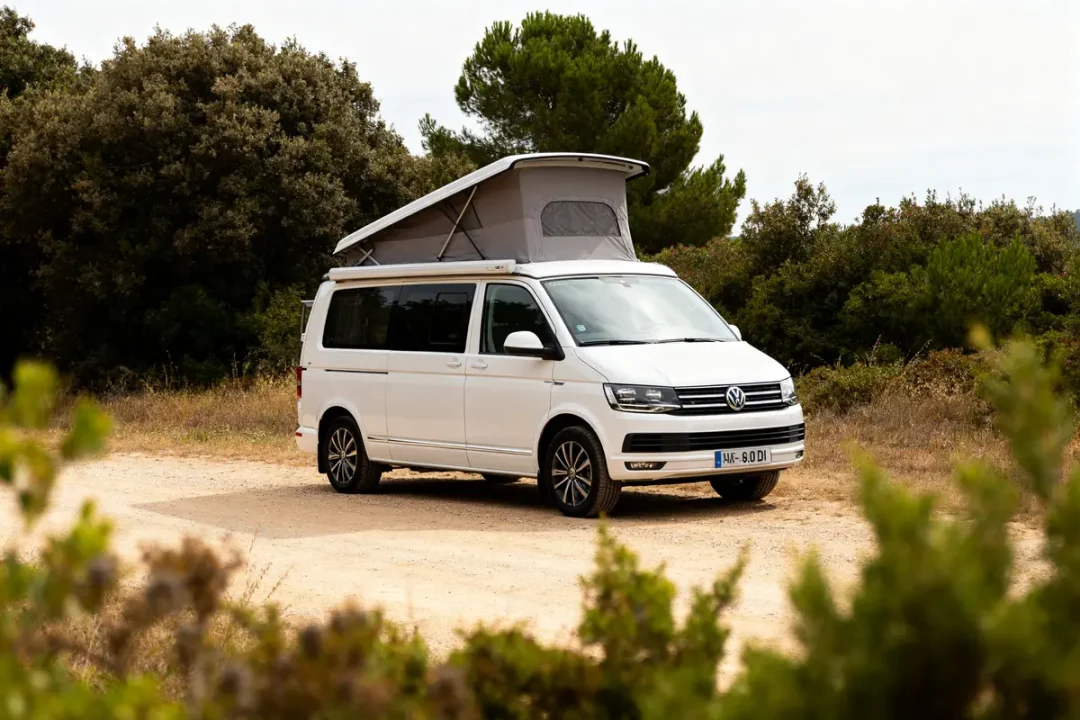 VW The California blanc, toit relevé dans un paysage naturel boisé et ensoleillé